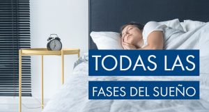 fases del sueño